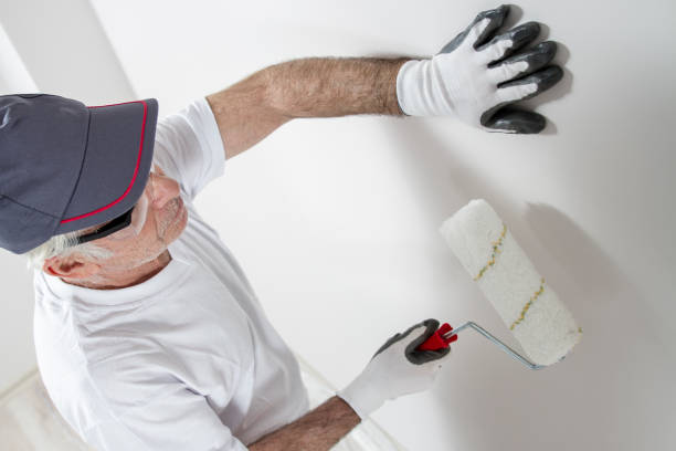 Best Fire-Damaged Drywall Repair  in Sunnyside, CA